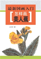怎样画美人蕉