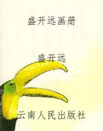 盛开远画册