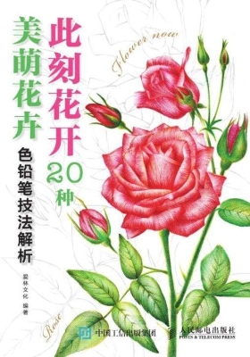 此刻花开——20种美萌