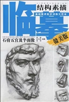 基础美术起步训练大范
