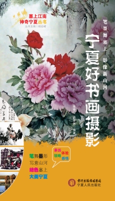宁夏好书画摄影