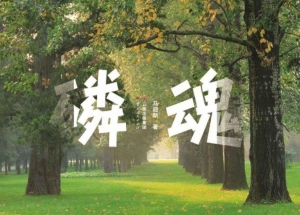 磷魂