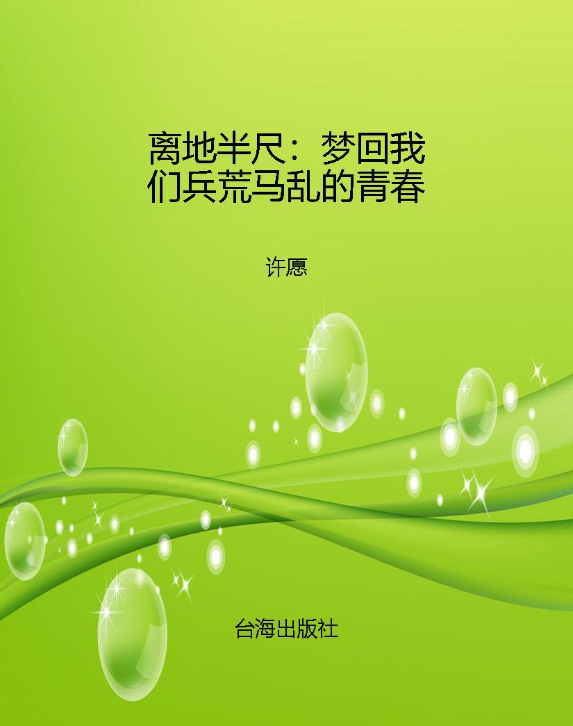 离地半尺：梦回我们兵荒