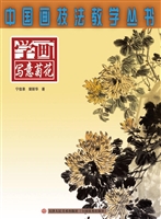 学画写意菊花