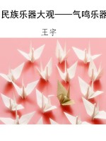 民族乐器大观——气鸣