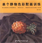 单个静物色彩默画训练