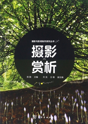 摄影赏析