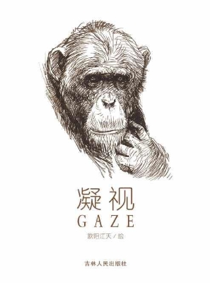 凝视
