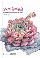多肉彩铅绘——超细腻