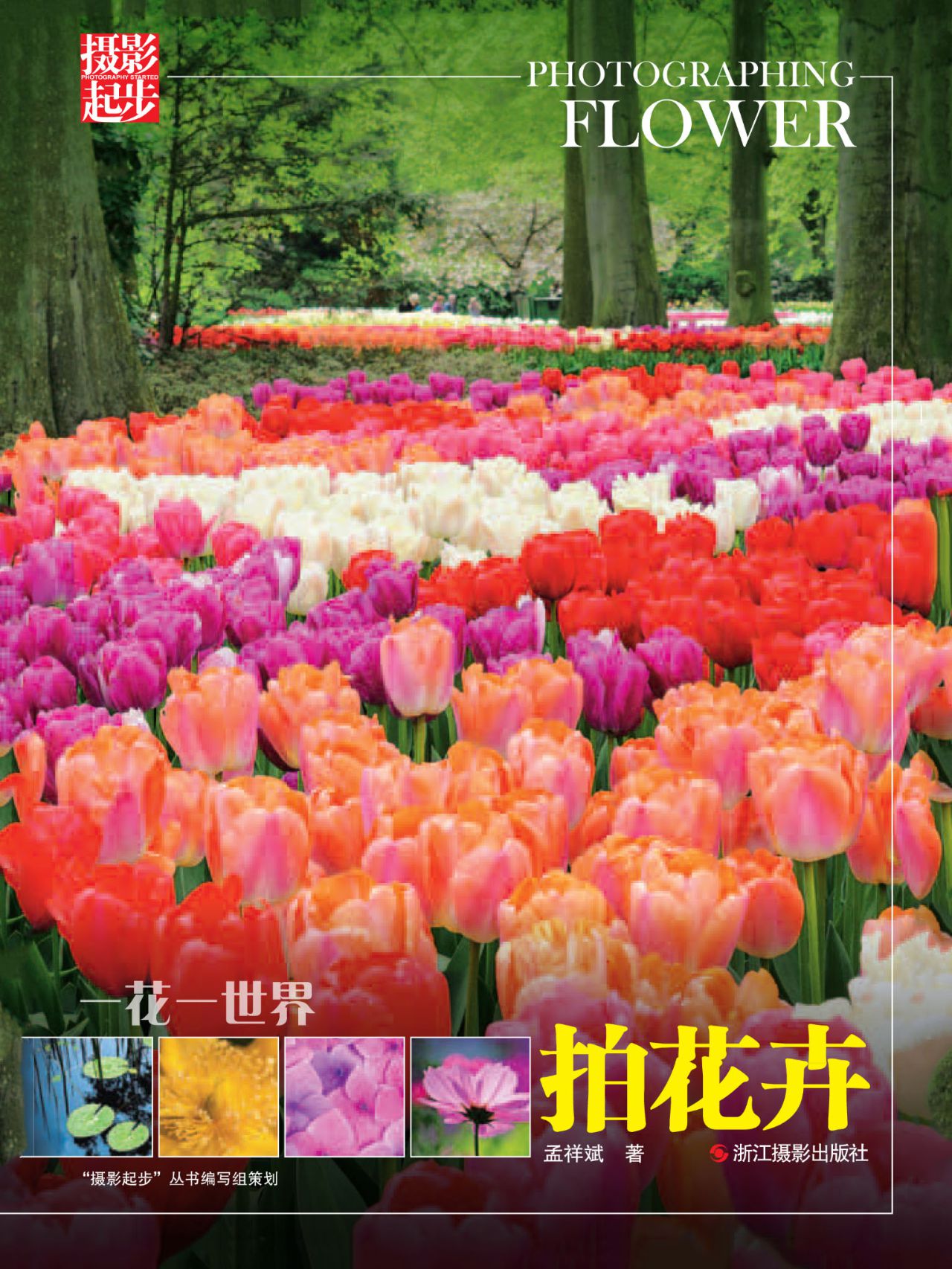 一花一世界：拍花卉
