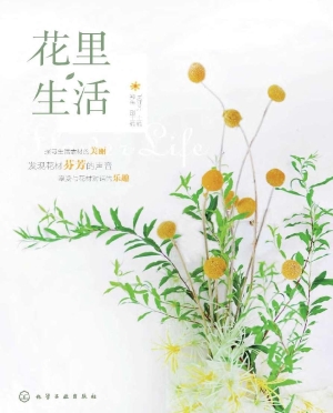 花里·生活