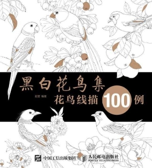 黑白花鸟集——花鸟线