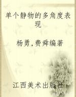单个静物的多角度表现