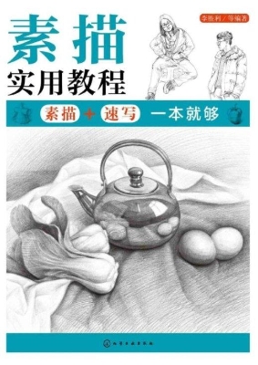 素描实用教程