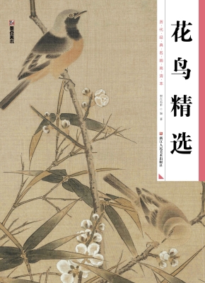 花鸟精选