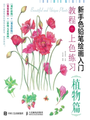 新手色铅笔绘画入门—