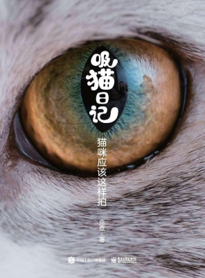吸猫日记——猫咪应该