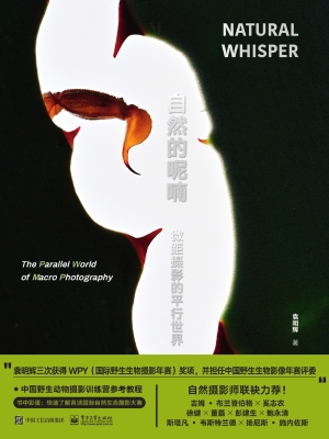 自然的呢喃：微距摄影的