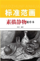素描静物标准范画