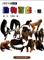 动物百态·猴