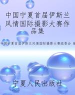 中国宁夏首届伊斯兰风