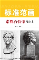 素描石膏像标准范画