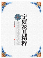 宁夏花儿精粹