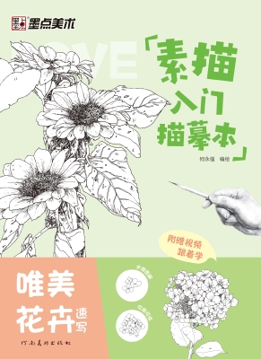 素描入门描摹本·唯美