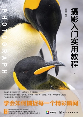 摄影入门实用教程