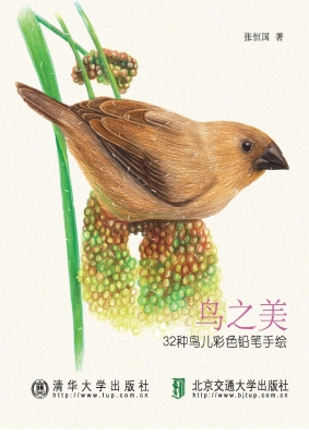 鸟之美