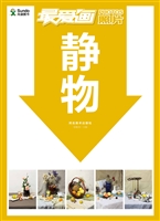 最爱画照片——静物