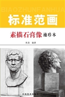 素描石膏像标准范画