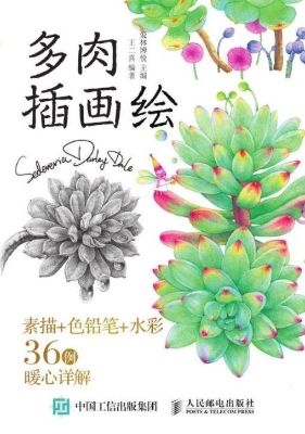 多肉插画绘——素描+