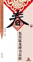 集张猛龙碑书春联