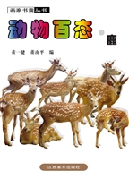动物百态·鹿
