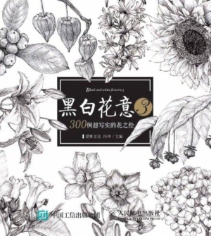 黑白花意 3——300例