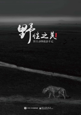 野性之美——野生动物