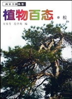 植物百态——松