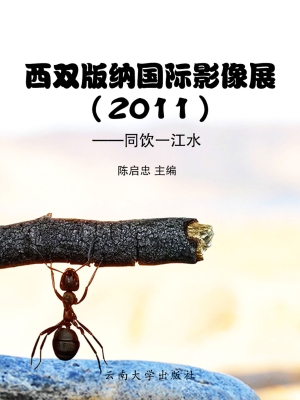 西双版纳国际影像展（20