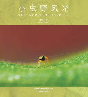 小虫野风光