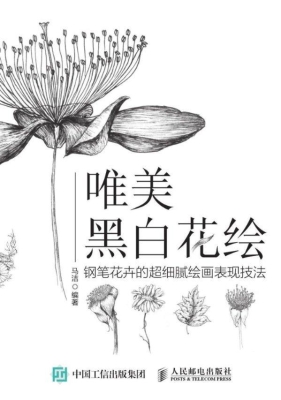 唯美黑白花绘——钢笔