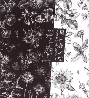 黑白花之绘——为青春