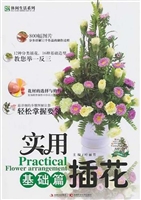 实用插花——基础篇