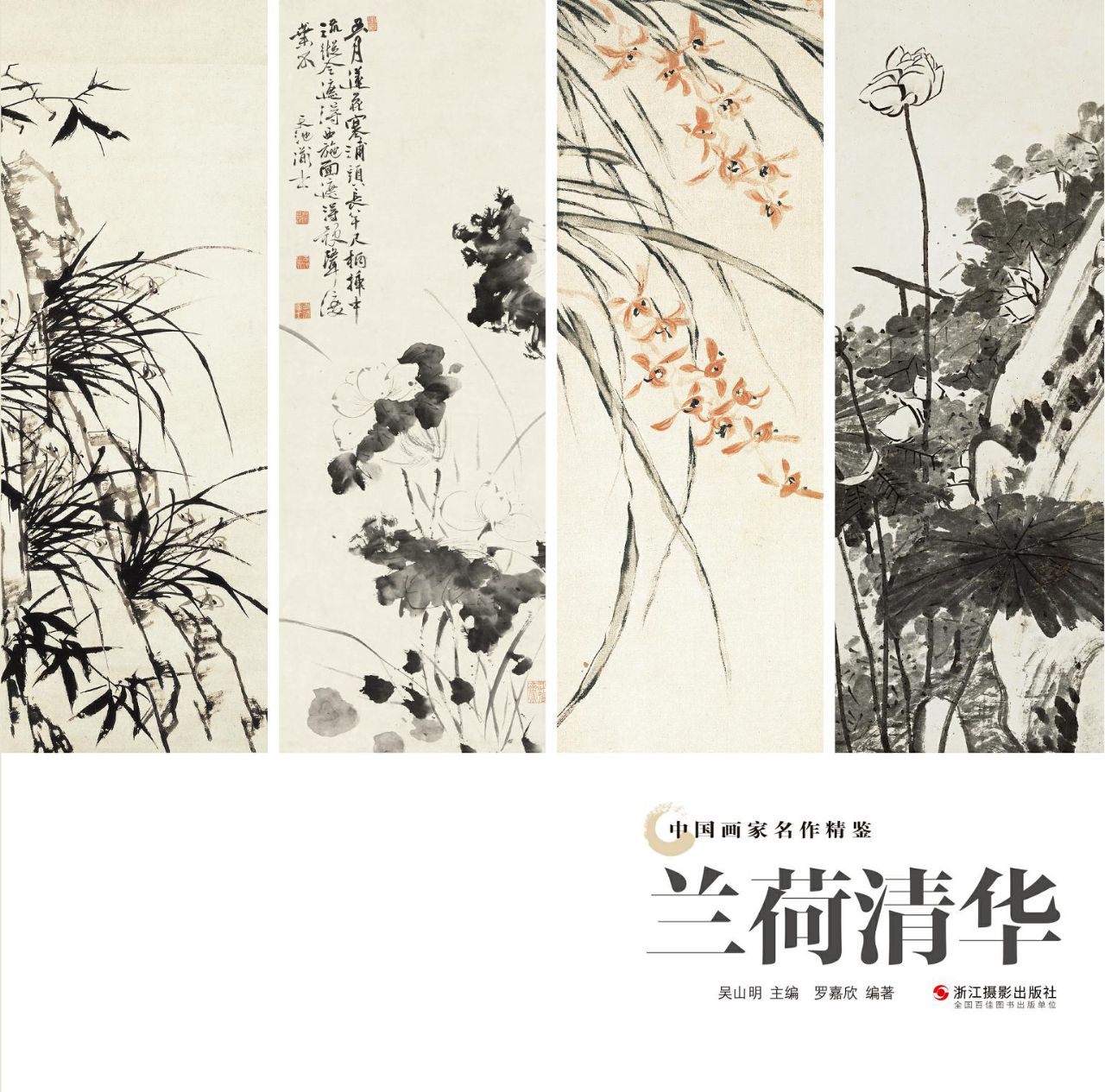 兰荷清华