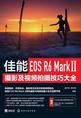 佳能EOS R6 Mark Ⅱ摄