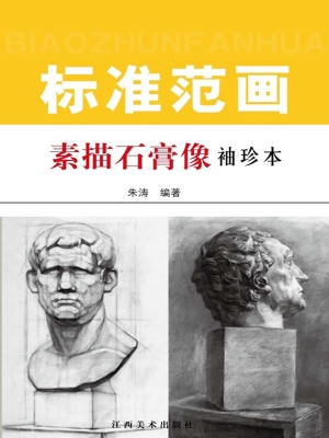 素描石膏像标准范画