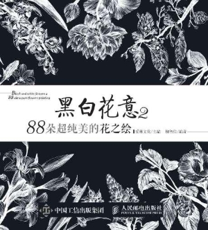 黑白花意 2——88朵超