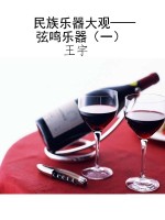 民族乐器大观——弦鸣