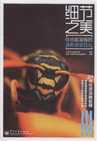细节之美——你也能掌