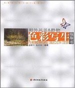 色彩写生指导书